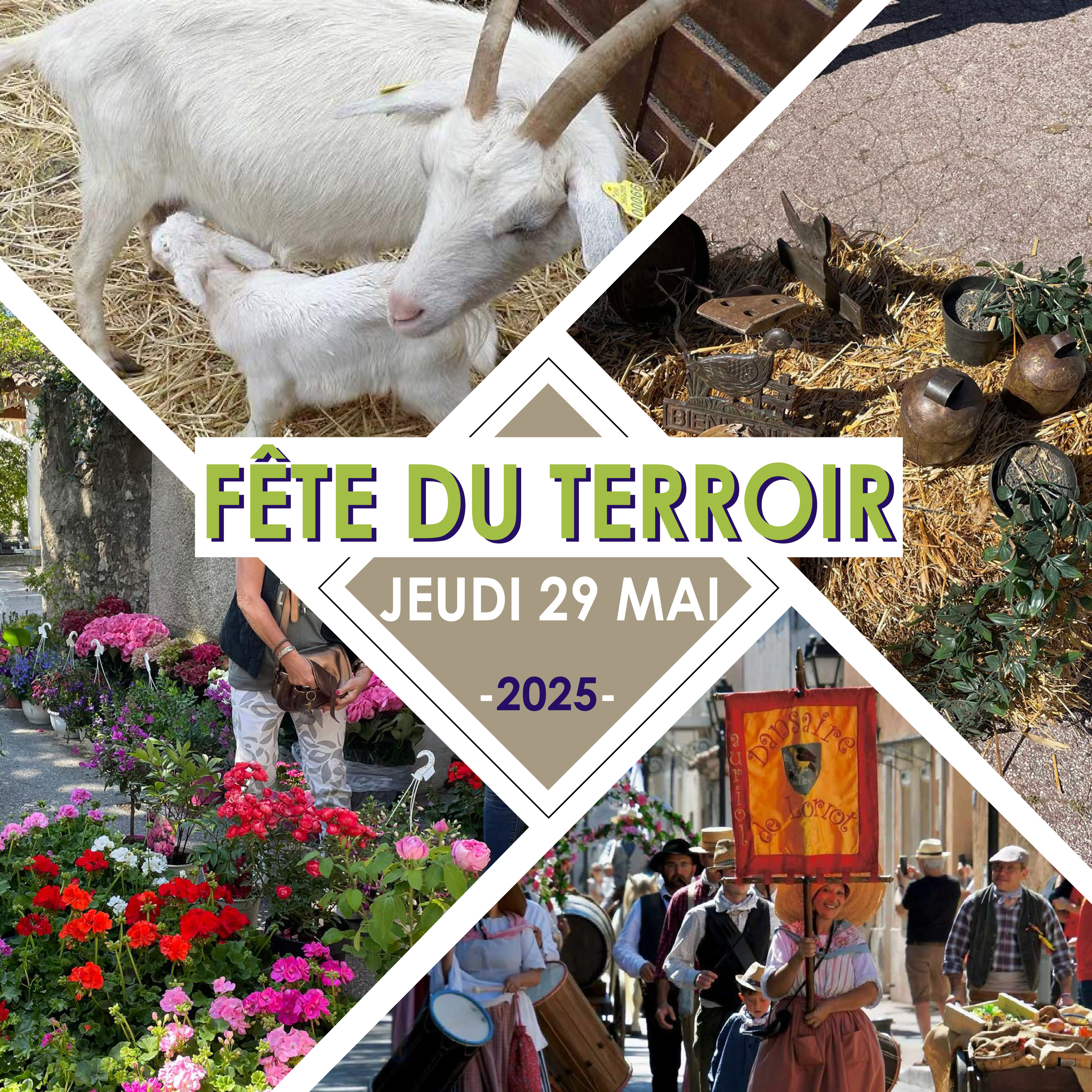 Fête du terroir